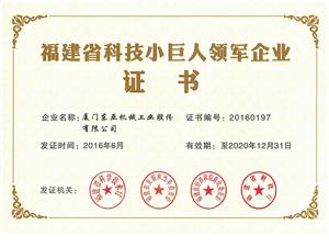 福建省科技小巨人領(lǐng)軍企業(yè)證書(shū)